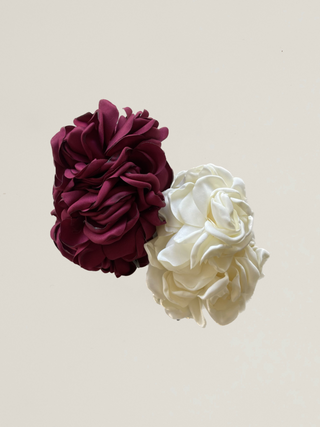 Complementos