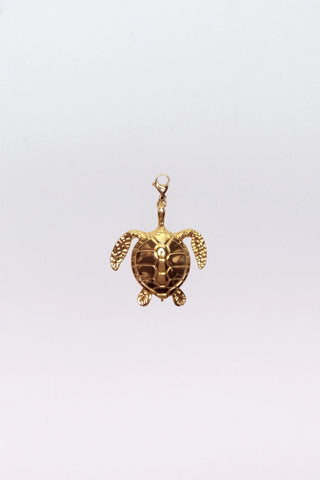 Charm Tortuga