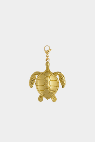 Charm Tortuga