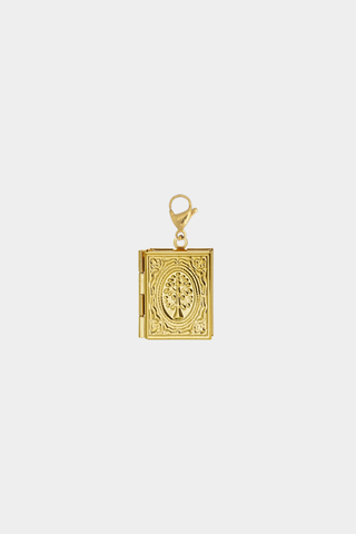 Charm Libro Oro