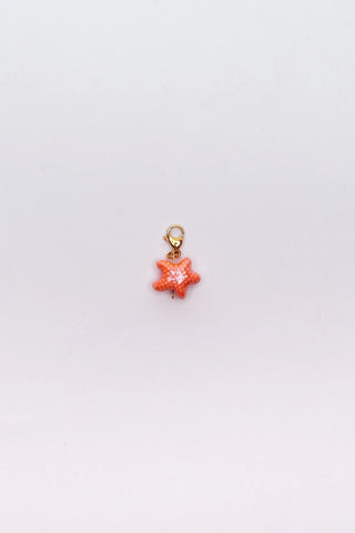 Charm Coralina